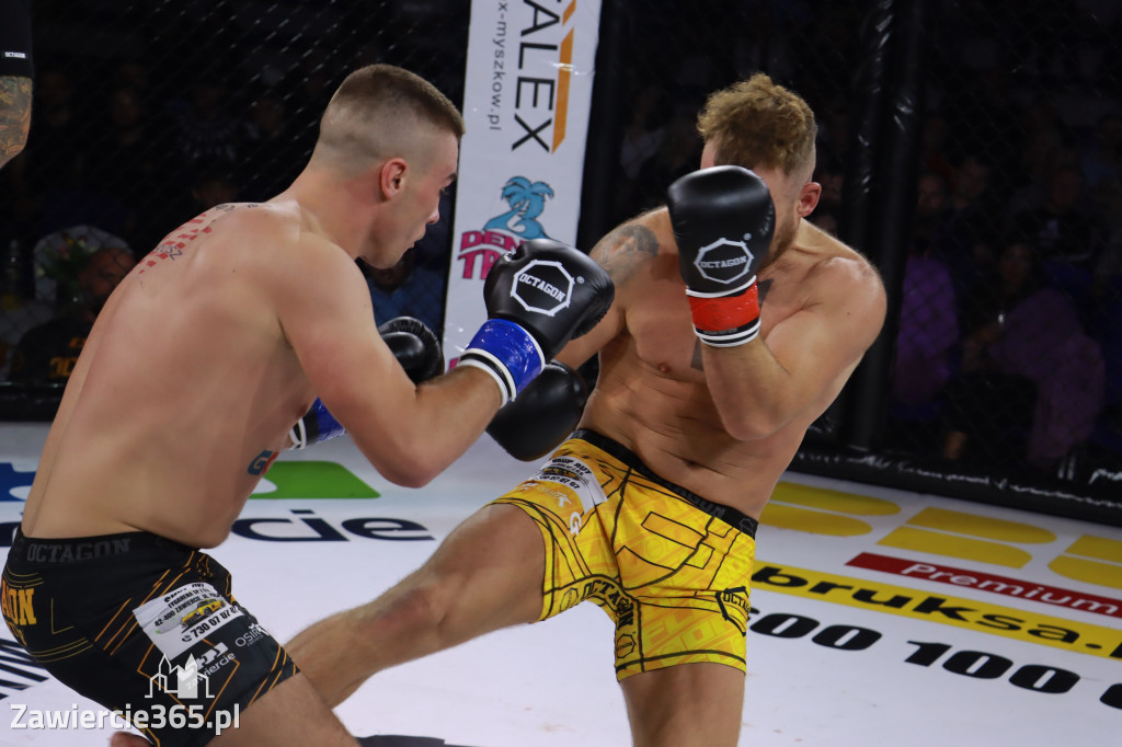 Fotorelacja: Octagon Fight Leauge 13 - Cz. 2
