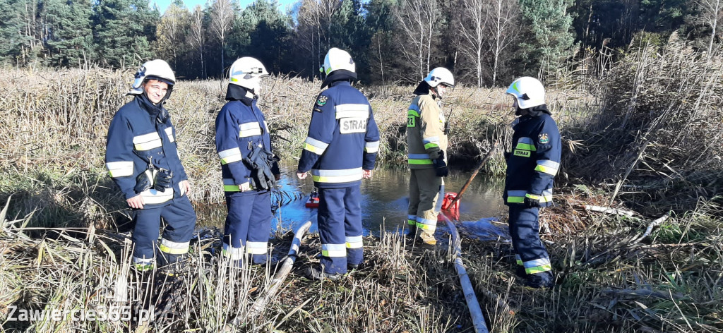 Fotorelacja Zdów: Ćwiczenia Zgrywające Jednostek OSP z gminy Włodowice