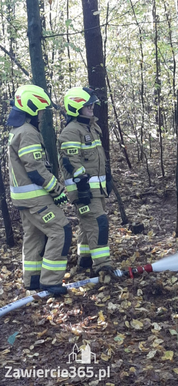 Fotorelacja Zdów: Ćwiczenia Zgrywające Jednostek OSP z gminy Włodowice