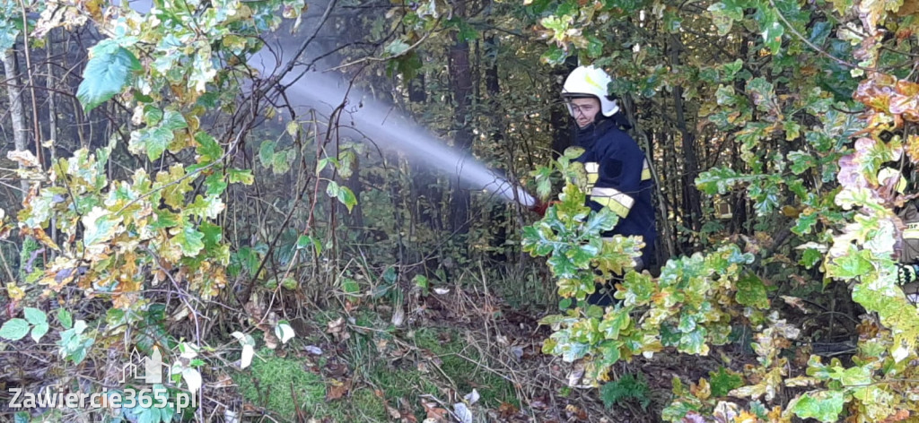 Fotorelacja Zdów: Ćwiczenia Zgrywające Jednostek OSP z gminy Włodowice