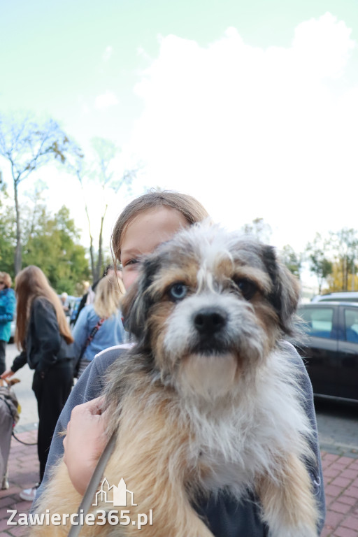 Fotorelacja: Parada Psów w Zawierciu.