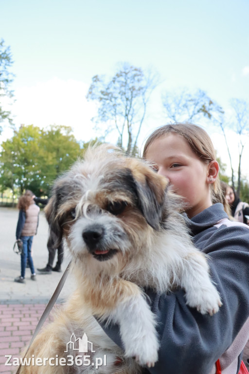 Fotorelacja: Parada Psów w Zawierciu.