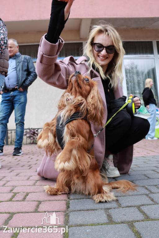 Fotorelacja: Parada Psów w Zawierciu.