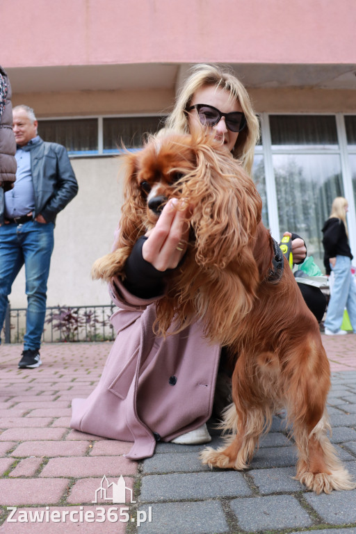 Fotorelacja: Parada Psów w Zawierciu.