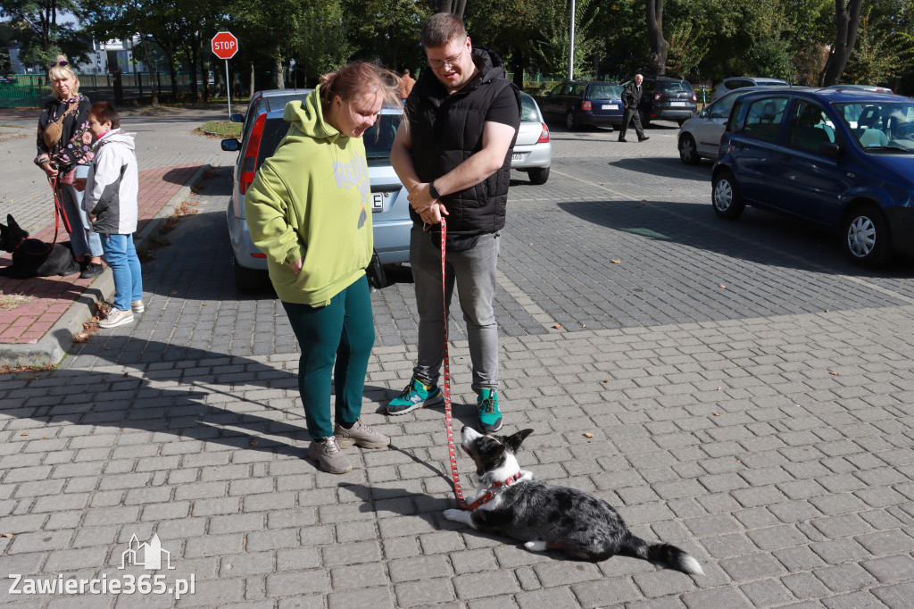 Fotorelacja: Parada Psów w Zawierciu.