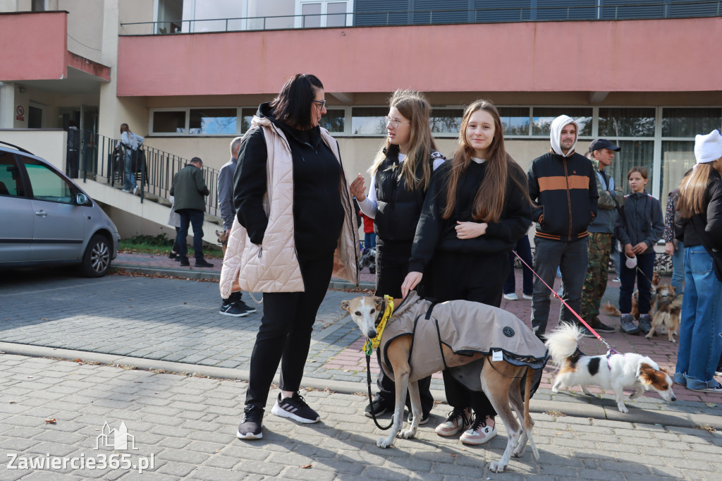 Fotorelacja: Parada Psów w Zawierciu.