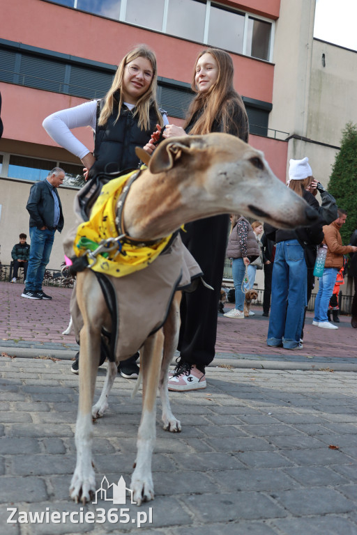 Fotorelacja: Parada Psów w Zawierciu.