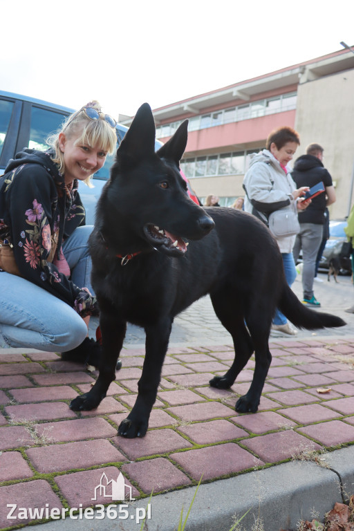 Fotorelacja: Parada Psów w Zawierciu.