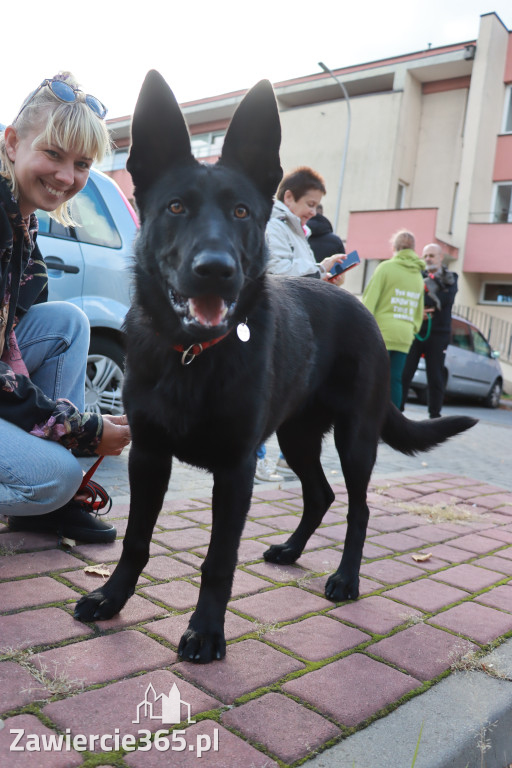 Fotorelacja: Parada Psów w Zawierciu.