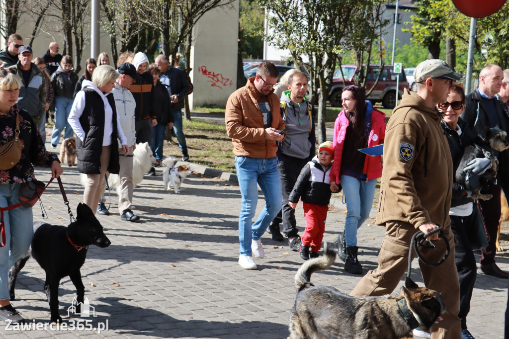 Fotorelacja: Parada Psów w Zawierciu.