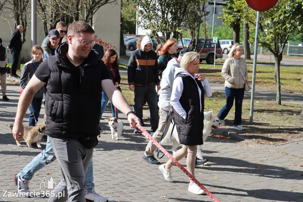 Fotorelacja: Parada Psów w Zawierciu.