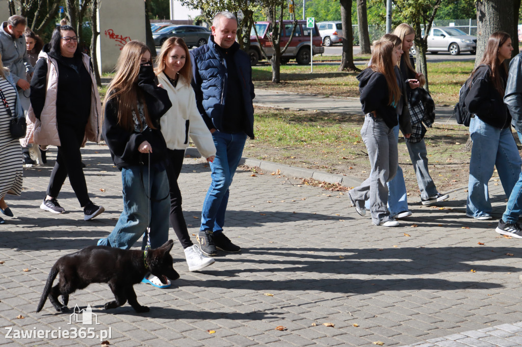 Fotorelacja: Parada Psów w Zawierciu.