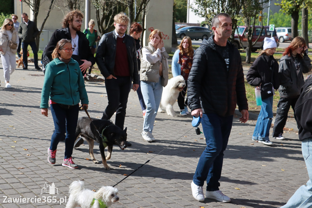 Fotorelacja: Parada Psów w Zawierciu.