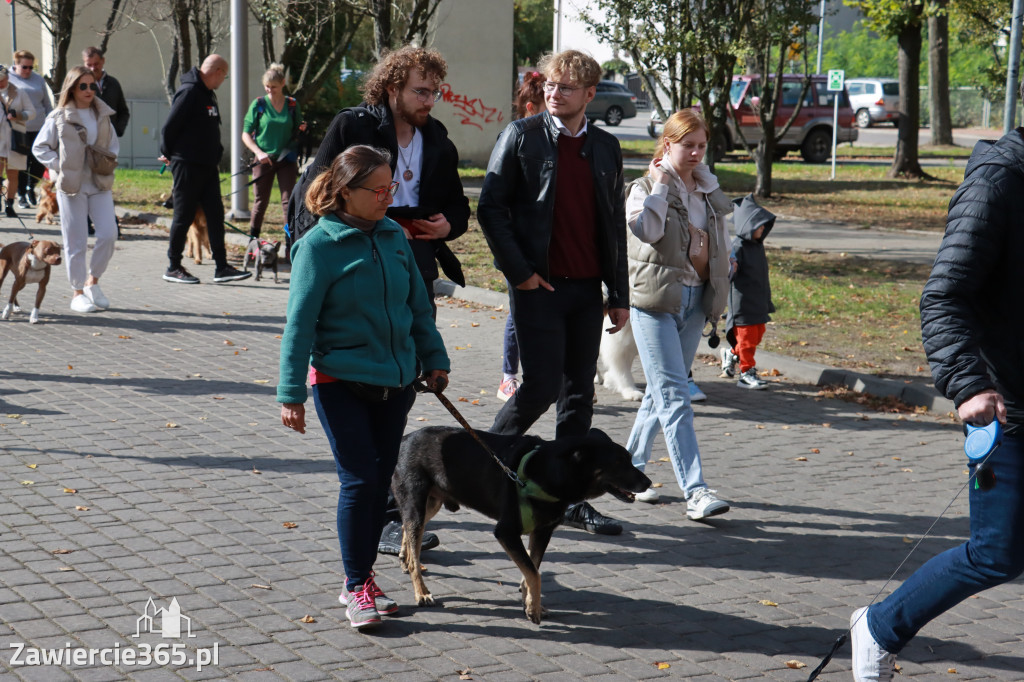 Fotorelacja: Parada Psów w Zawierciu.