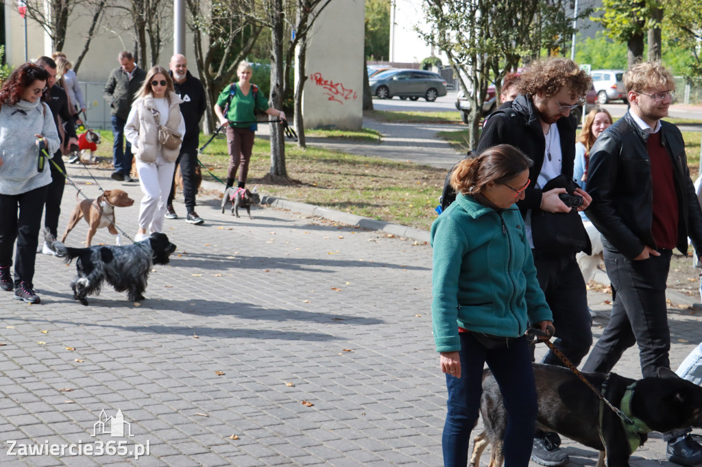 Fotorelacja: Parada Psów w Zawierciu.