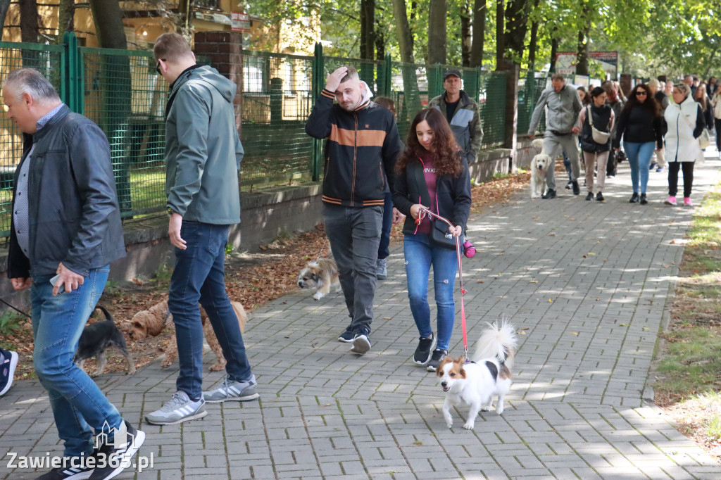 Fotorelacja: Parada Psów w Zawierciu.