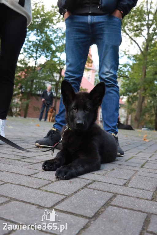 Fotorelacja: Parada Psów w Zawierciu.