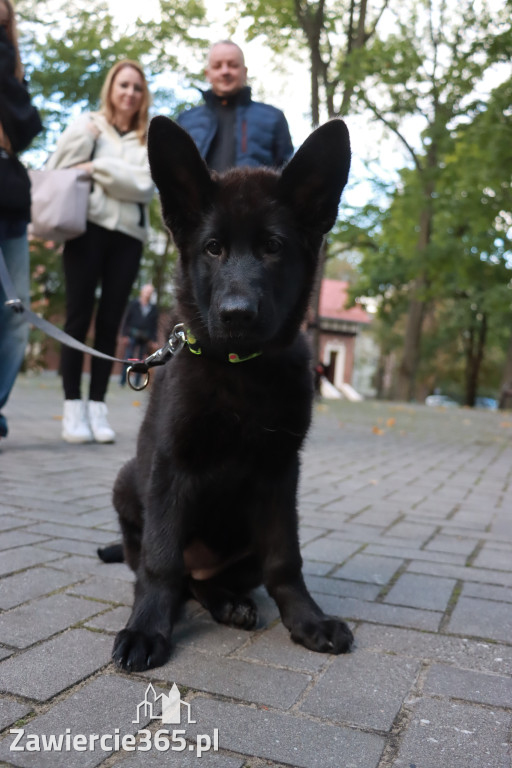 Fotorelacja: Parada Psów w Zawierciu.