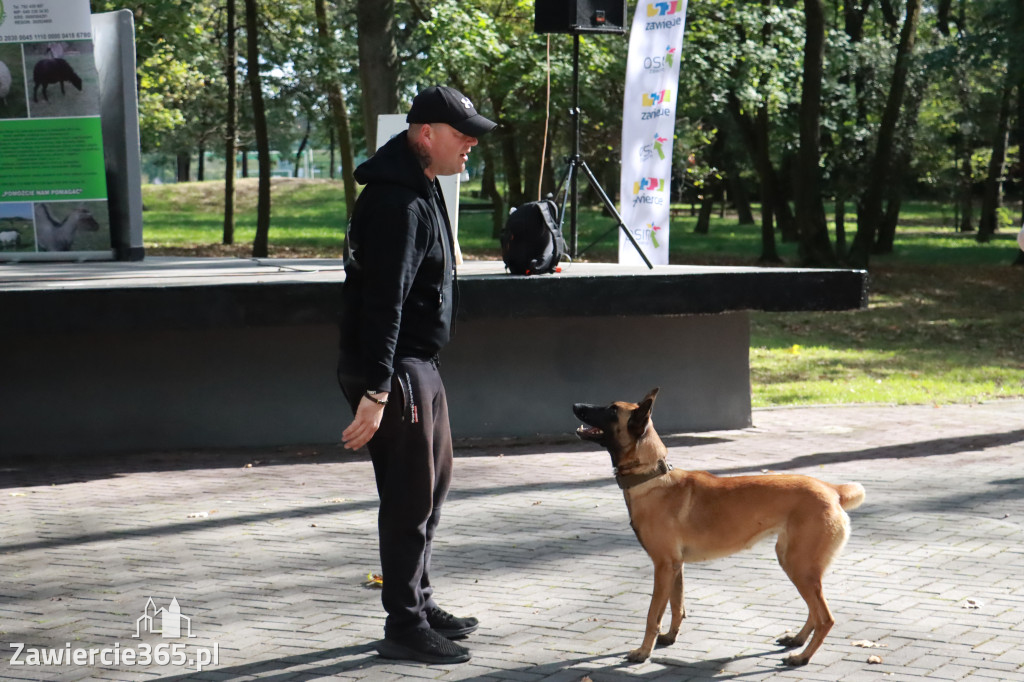 Fotorelacja: Parada Psów w Zawierciu.