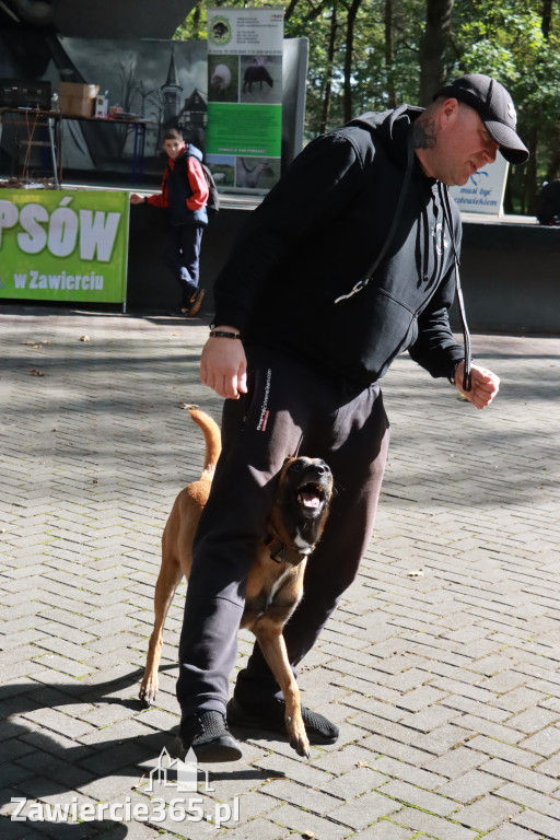 Fotorelacja: Parada Psów w Zawierciu.