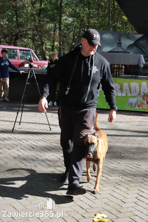 Fotorelacja: Parada Psów w Zawierciu.