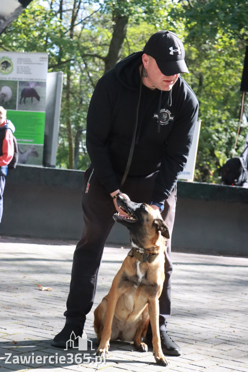 Fotorelacja: Parada Psów w Zawierciu.