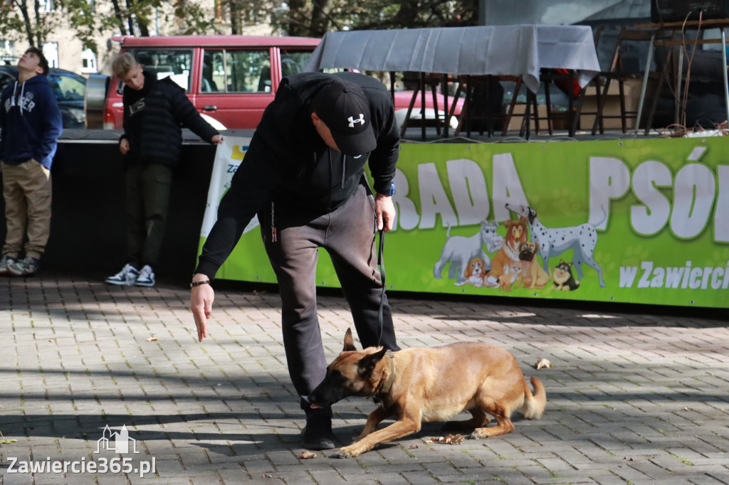 Fotorelacja: Parada Psów w Zawierciu.