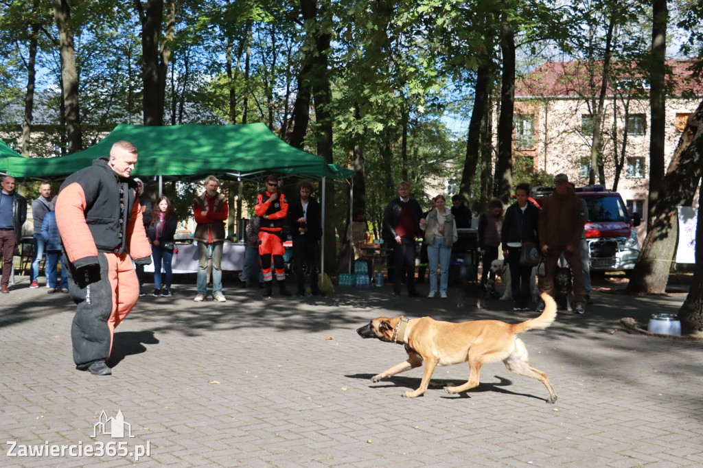 Fotorelacja: Parada Psów w Zawierciu.