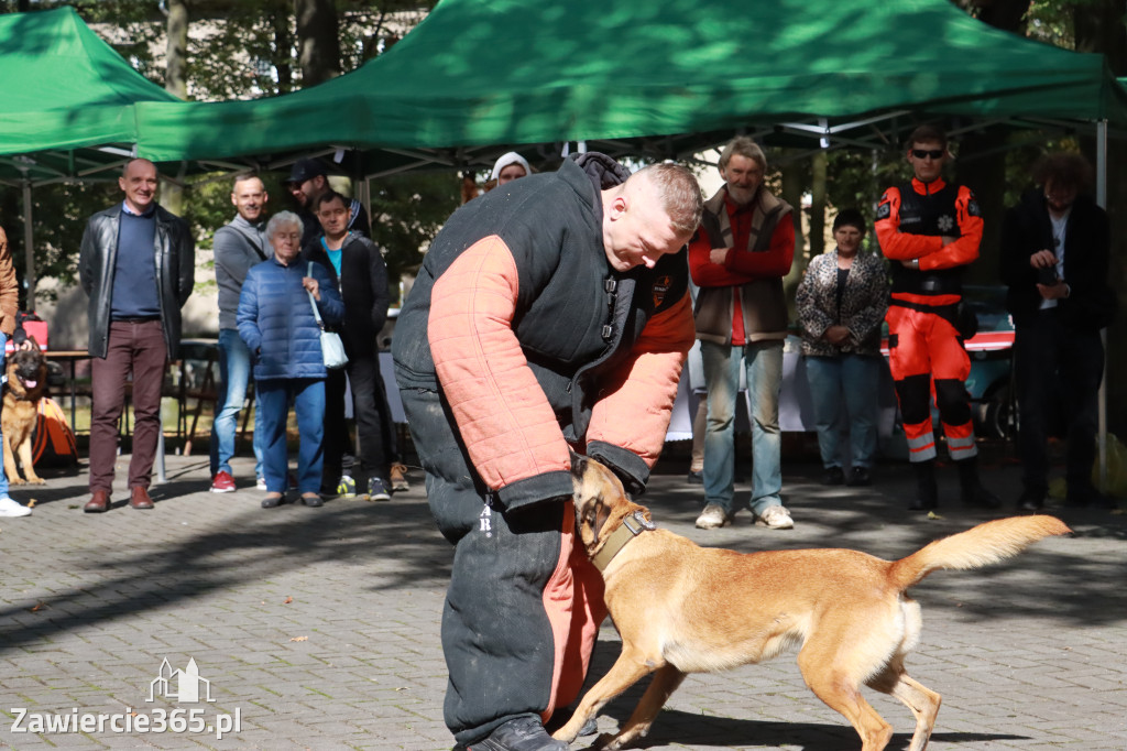 Fotorelacja: Parada Psów w Zawierciu.