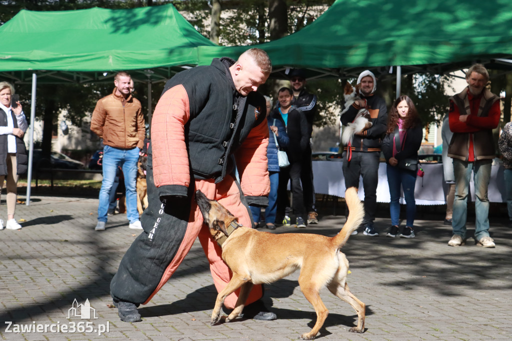 Fotorelacja: Parada Psów w Zawierciu.