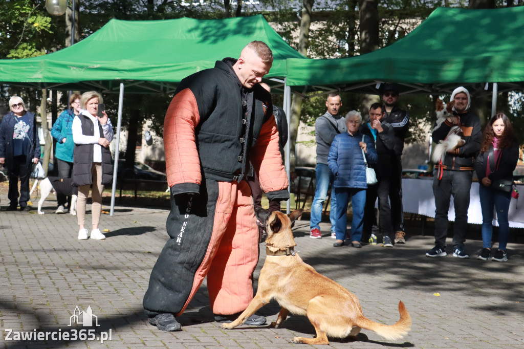 Fotorelacja: Parada Psów w Zawierciu.