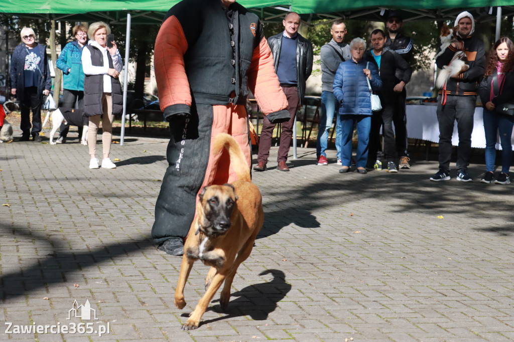 Fotorelacja: Parada Psów w Zawierciu.