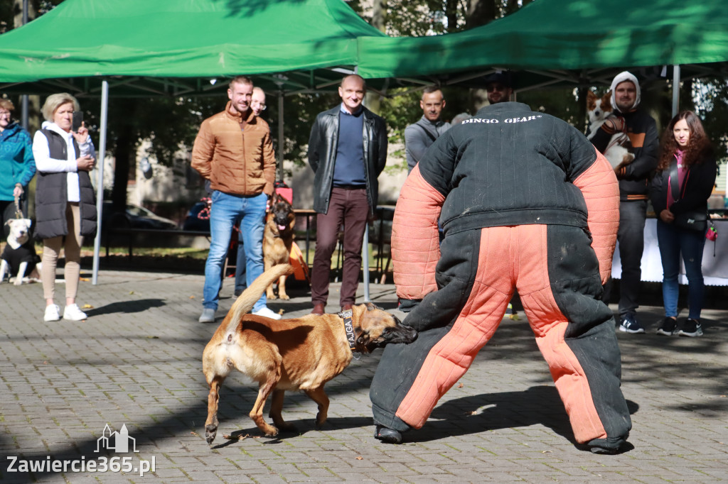 Fotorelacja: Parada Psów w Zawierciu.