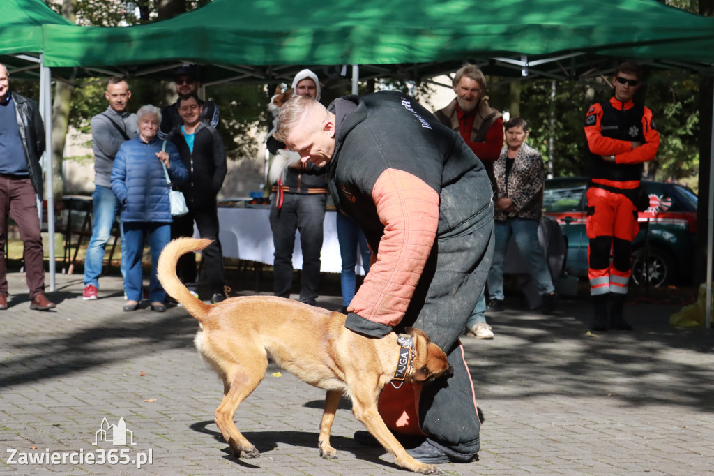 Fotorelacja: Parada Psów w Zawierciu.