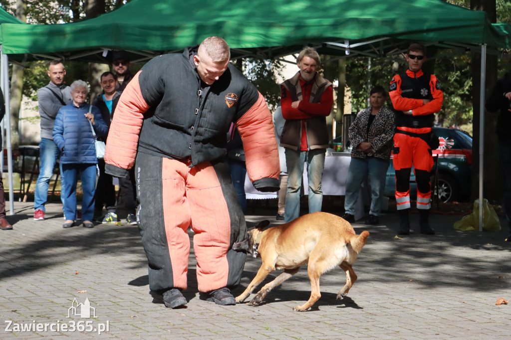 Fotorelacja: Parada Psów w Zawierciu.