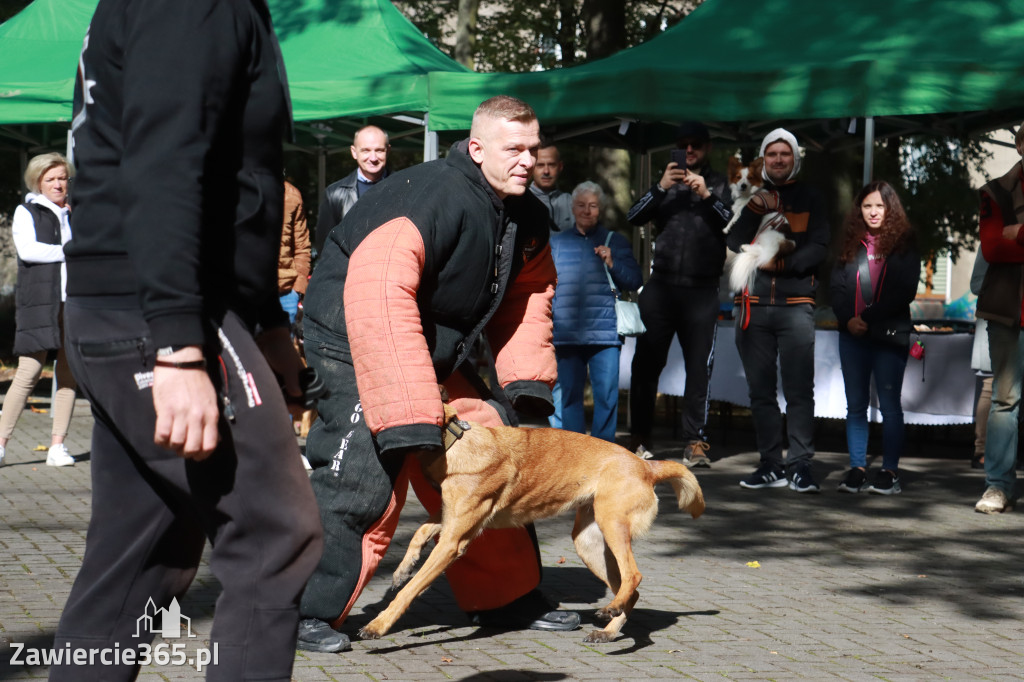 Fotorelacja: Parada Psów w Zawierciu.