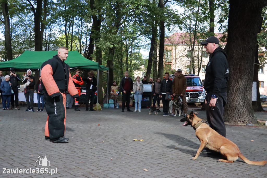 Fotorelacja: Parada Psów w Zawierciu.