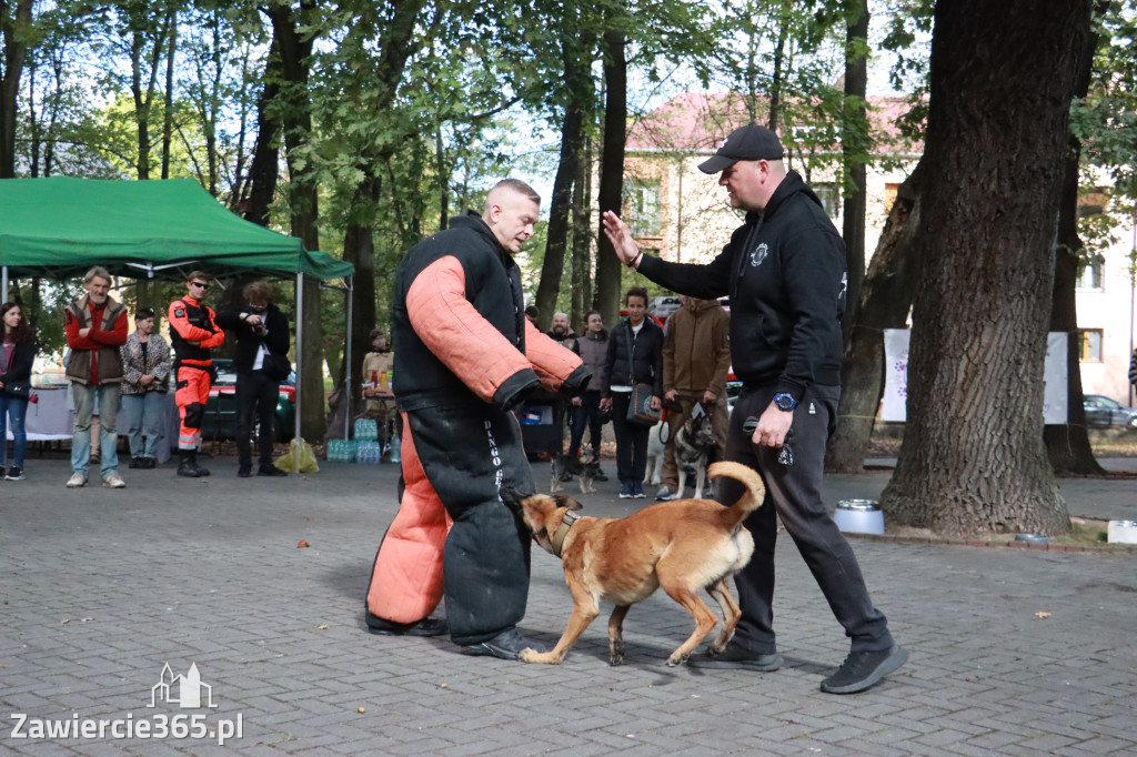 Fotorelacja: Parada Psów w Zawierciu.