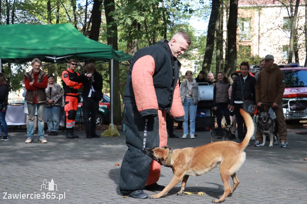 Fotorelacja: Parada Psów w Zawierciu.