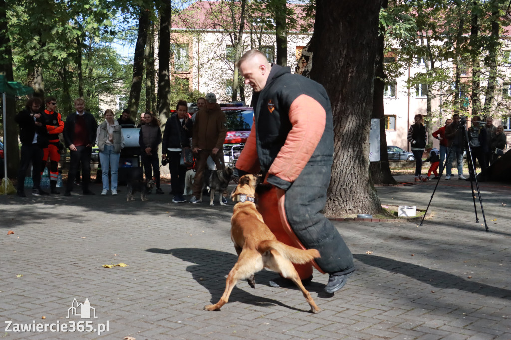 Fotorelacja: Parada Psów w Zawierciu.