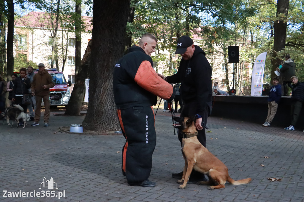 Fotorelacja: Parada Psów w Zawierciu.