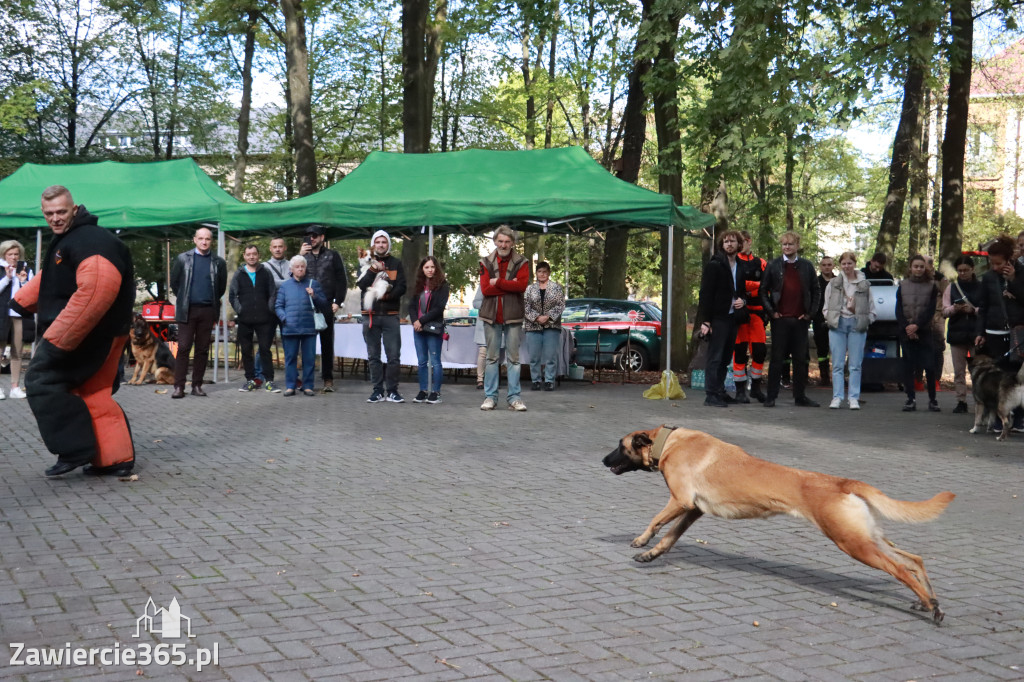 Fotorelacja: Parada Psów w Zawierciu.