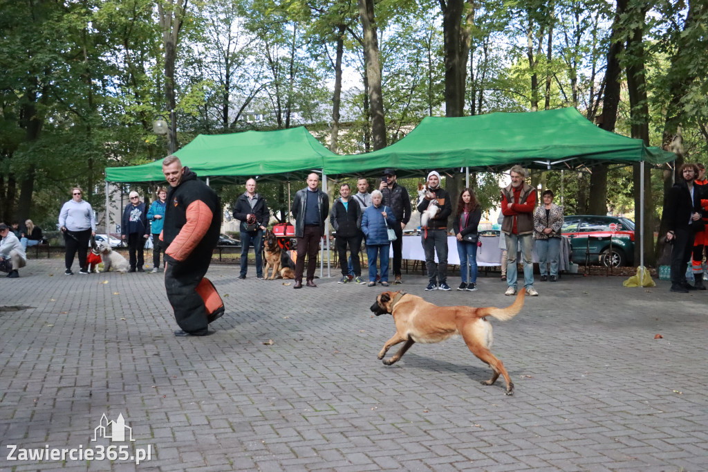 Fotorelacja: Parada Psów w Zawierciu.