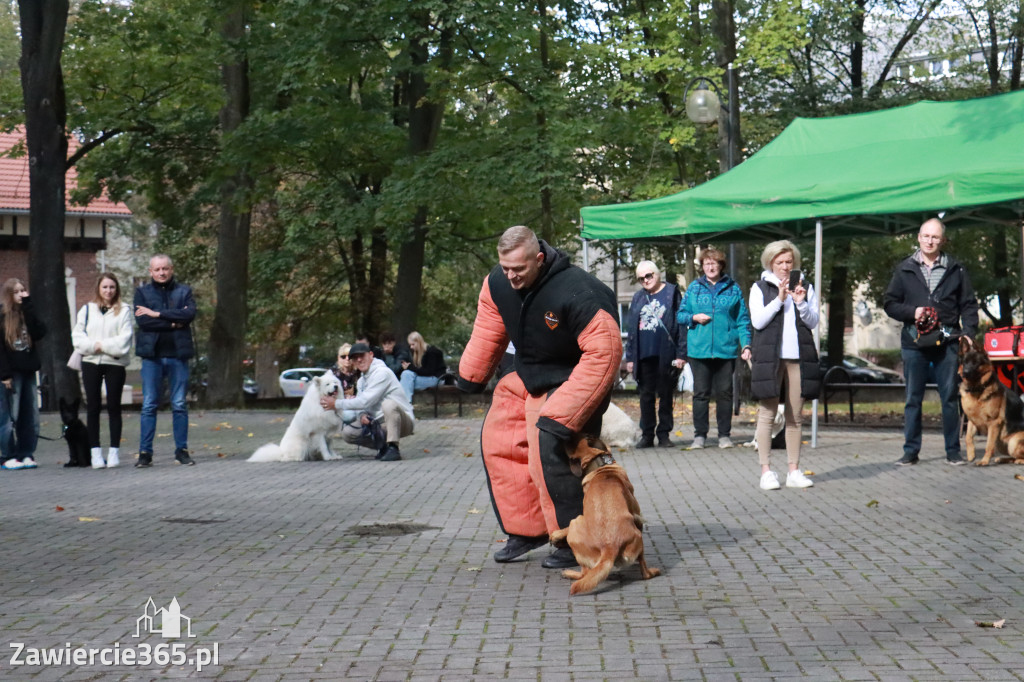 Fotorelacja: Parada Psów w Zawierciu.