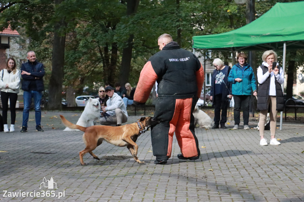 Fotorelacja: Parada Psów w Zawierciu.