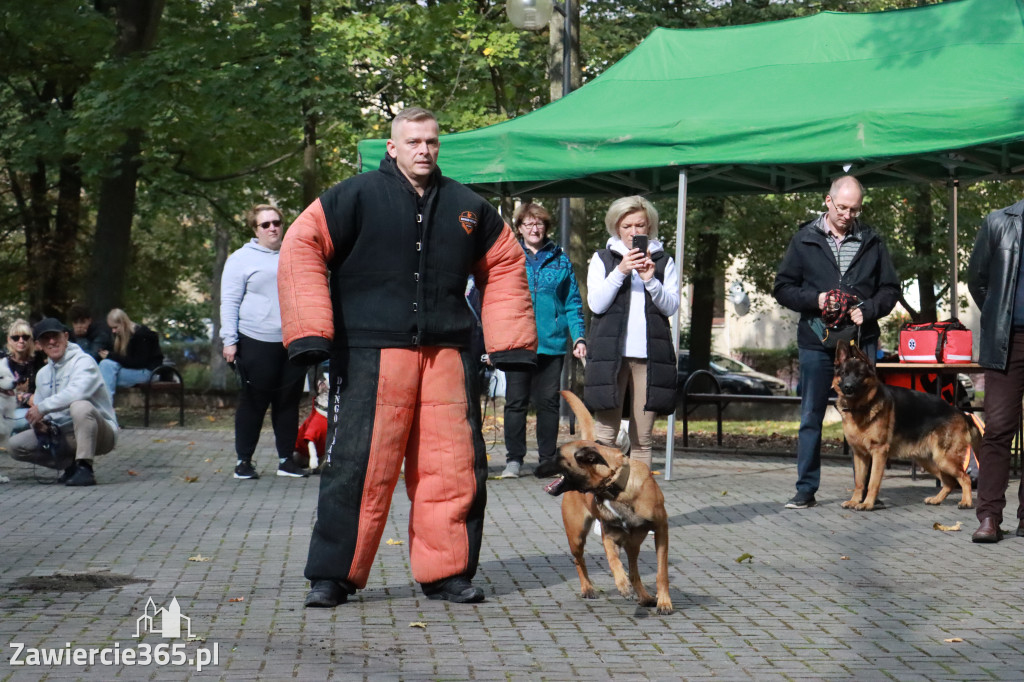 Fotorelacja: Parada Psów w Zawierciu.