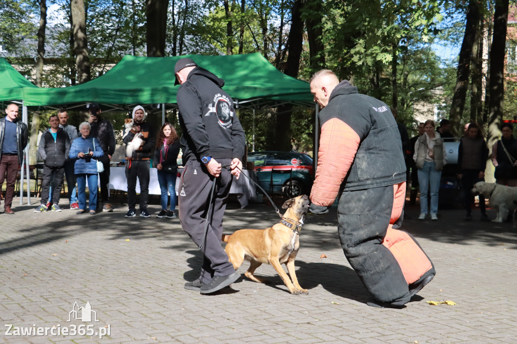 Fotorelacja: Parada Psów w Zawierciu.