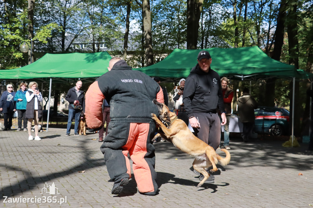 Fotorelacja: Parada Psów w Zawierciu.