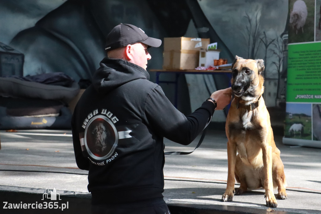 Fotorelacja: Parada Psów w Zawierciu.