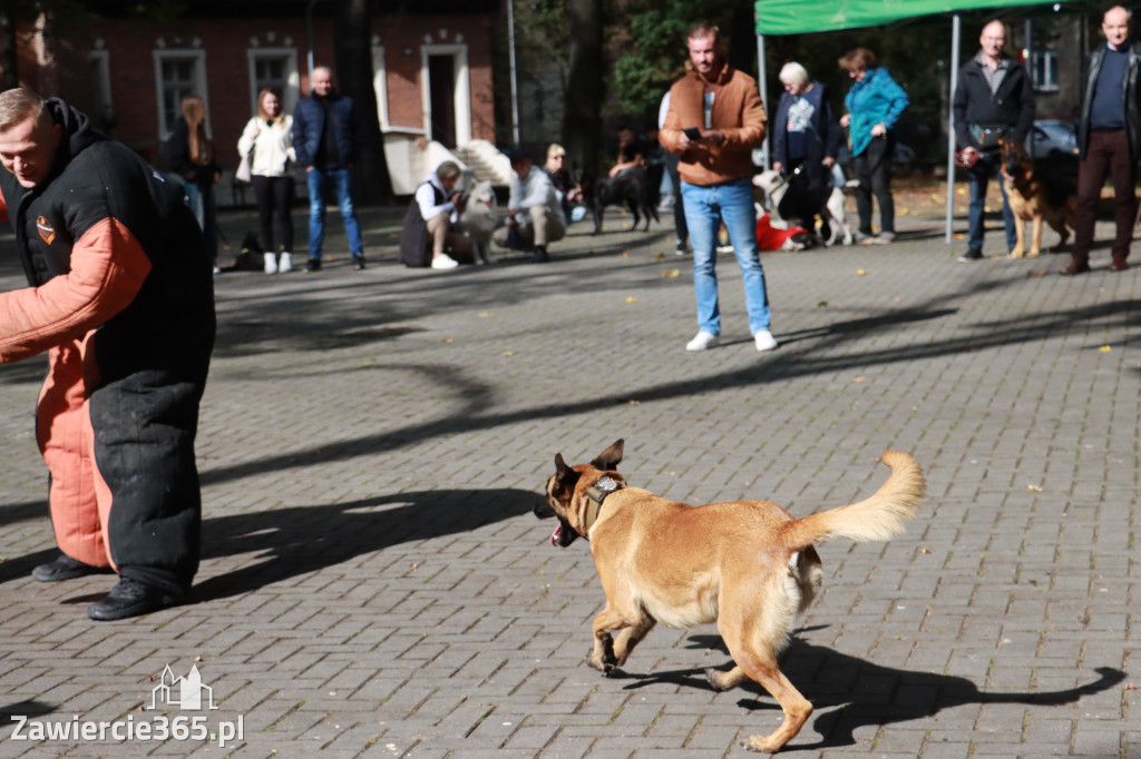 Fotorelacja: Parada Psów w Zawierciu.